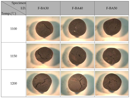 Optical image of cut cross section of artificial aggregates using fine coal bottom ash sintered at different temperature in electric furnace.