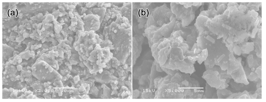 SEM micrographs of fresh fracture surface of geopolymers prepared from the raw ash in this study.