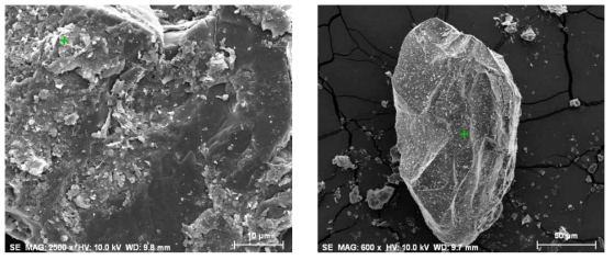 매끈한 표면의 미연탄소 사이사이에 존재하는 알루미노실리케이트 입자들(左)과 석 영 입자