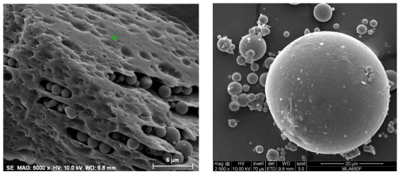서천화력발전소 비산재에 존재하는 다공질 미연탄소(左)와 구형의 입자
