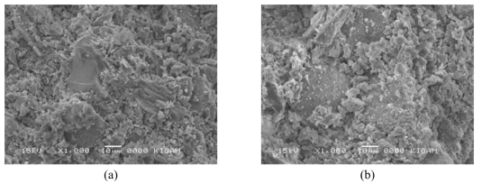 (a) 6M, (b) 12M의 NaOH와 반응시킨 후 28일동안 상온양생한 지오폴리 머의 SEM 사진.