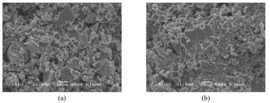(a) 6M의 NaOH를 사용하여 80℃에서 하루 양생한 시료와 (b) 12M의 NaOH를 사용하여 28일 동안 양생한 시료의 SEM 사진.