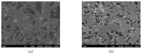 Microstructure of ceramic nano composites prepared by reactions (3-1-4)-(3-1-5) (a) ZrB2-SiC, (b) HfB2-SiC.