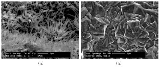 Surface microstructure of the HfC coatings; (a) HfC-K2 and (b) HfC-K3.