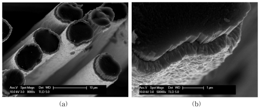 Microstructure of HfC-coated carbon fiber deposited at the HfC-K3 condition; (a) low magnification and (b) high magnification.