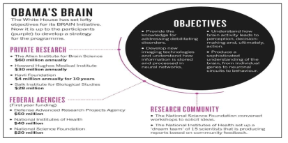 미국 브레인 이니셔티브 정책