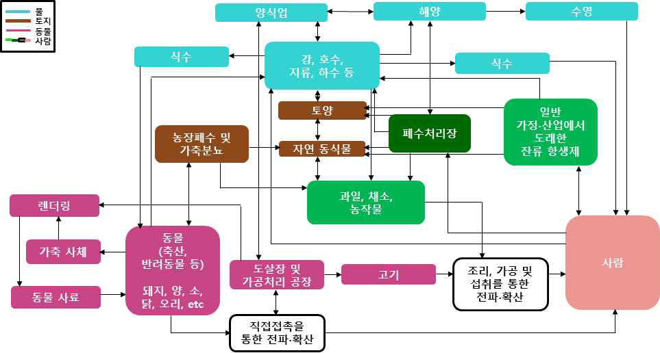 사람-동물-환경간 복잡한 상호작용으로 인한 AMR 확산