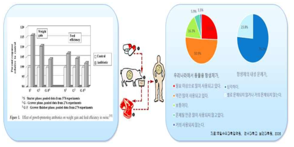 사료 내 항생제 사용 금지에 따른 문제점