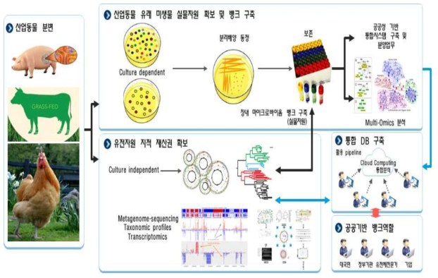 산업동물의 장내 마이크로바이옴 뱅크 구축 체계도