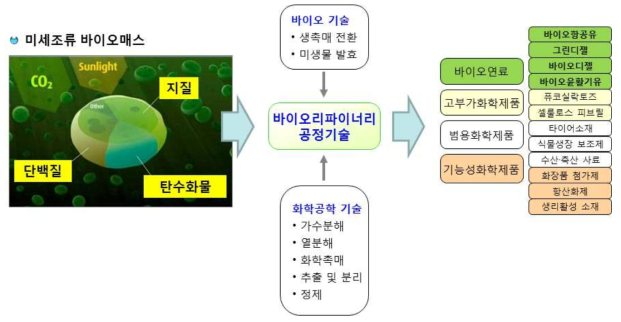 미세조류 바이오리파이너리