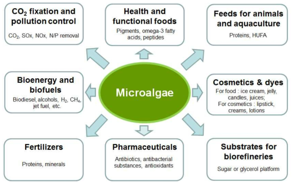 미세조류에서 유래될 수 있는 산업종류