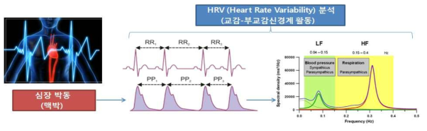 I-MHS에 적용된 졸음감지 알고리즘