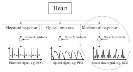 심탄도(BCG : Ballistic CardioGram의 개념도