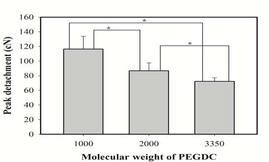 Peak Detachment Force of PEGDC/PEO hydrogel film as a function of PEGDC molecular weight.