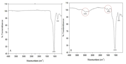 메조다공성 중공형 실리카 나노물질의 FT-IR 분석결과 A: 작용기 도입 전, B: 작용기 도입 후