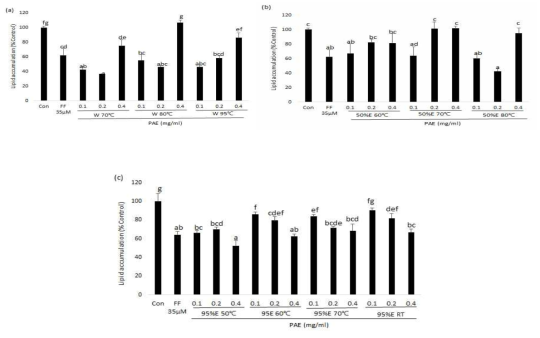 Effects of PAE on adipogenesis and differentiation in 3T3-L1 adipocytes.