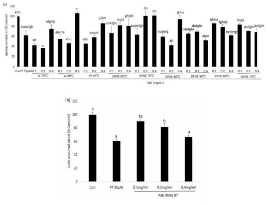 Effects of PAE on adipogenesis and differentiation in 3T3-L1 adipocytes.