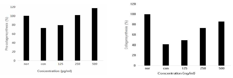 The effects of WNPE on pro-collagen type 1 and collagen type 1 synthesis HS96cells.