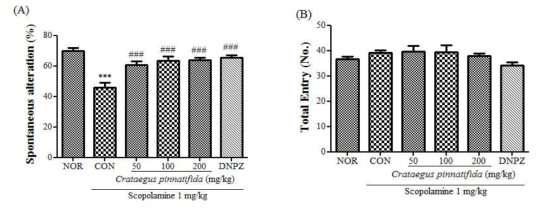 The effect of Crataegus pinnatifida on memory and cognitive impairments induced by scopolamine in mice as measured by the Y-maze test.