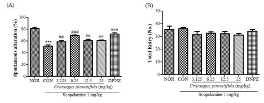 The effect of Crataegus pinnatifida on memory and cognitive impairments induced by scopolamine in mice as measured by the Y-maze test.
