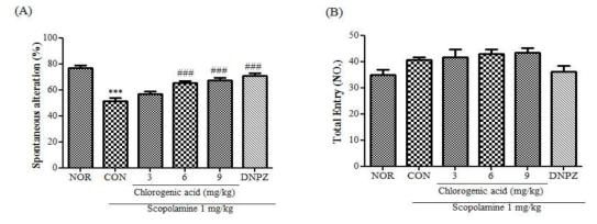 The effect of Chlorogenic acid on memory and cognitive impairments induced by scopolamine in mice as measured by the Y-maze test.