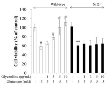 글리세올린의 신경세포 보호 기전으로서 Nrf2-매개 항산화효소계 활성화.