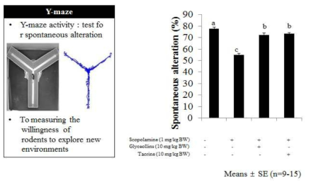마우스모델계 Y-미로 시험을 통한 글리세올린의 행동장 애 완화 효과.