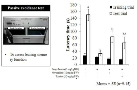 마우스모델계 수동적회피능 시험을 통한 글리세올린의 단기 기억 장애 완화효과.