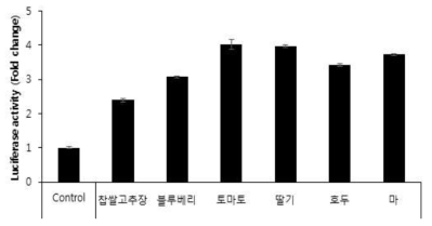 ARE-luciferase assay를 통한 고추장 추출물의 항산 화효소계 유도 활성.