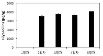 식용곰팡이 접종 후 5일 배양 기간동안 샘플링한 메주콩의 글리세올린 함량.