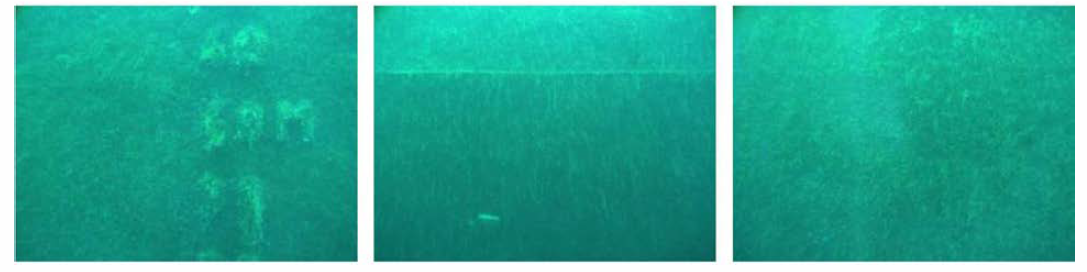 실해역 시험 시 취득한 수중 선체 표면 영상 샘플