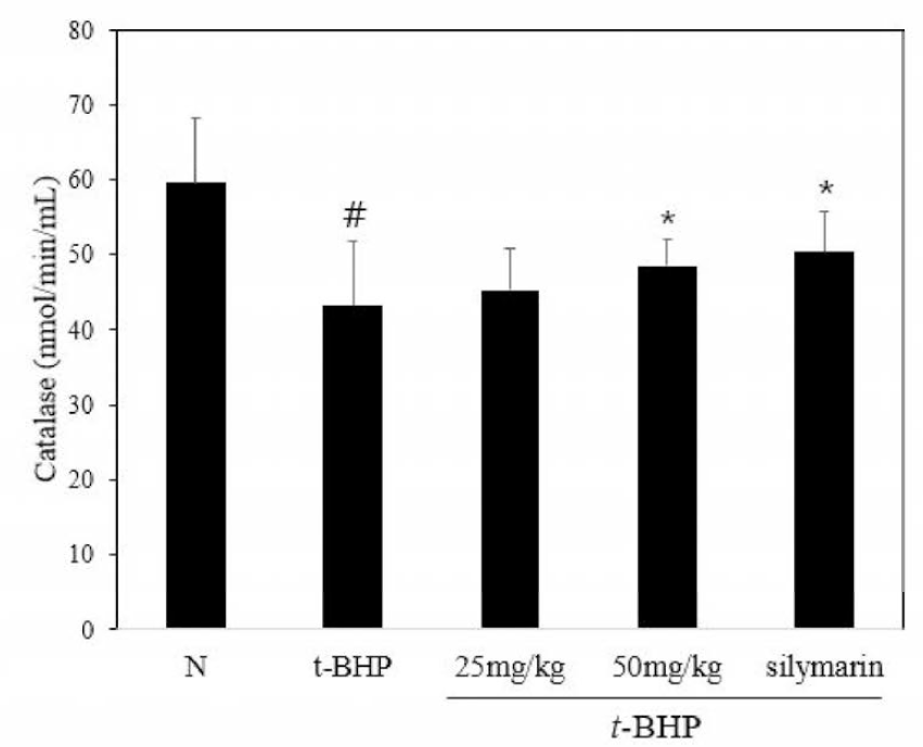 Effects of FACM on Catalase activity in t-BHP -induced oxidative stress mice.