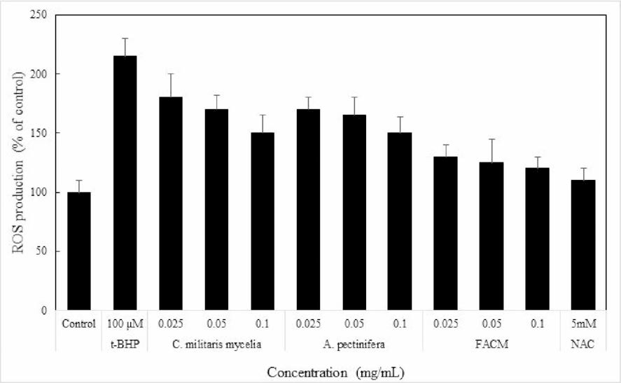 Changes of intracellular ROS generated by /HBHP treatment in Chang cells.