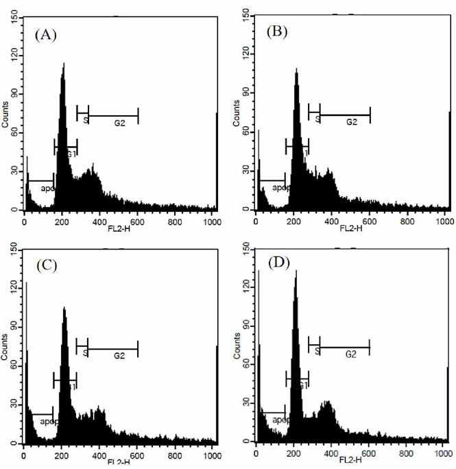 Cell cycle analysis of FACM on B16F10.