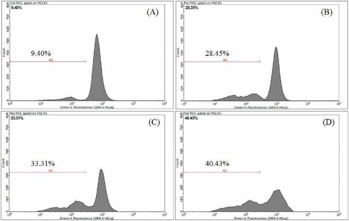 Mitochondrial membrane potential (MMP) measurement of FACM in B16F10 cells.