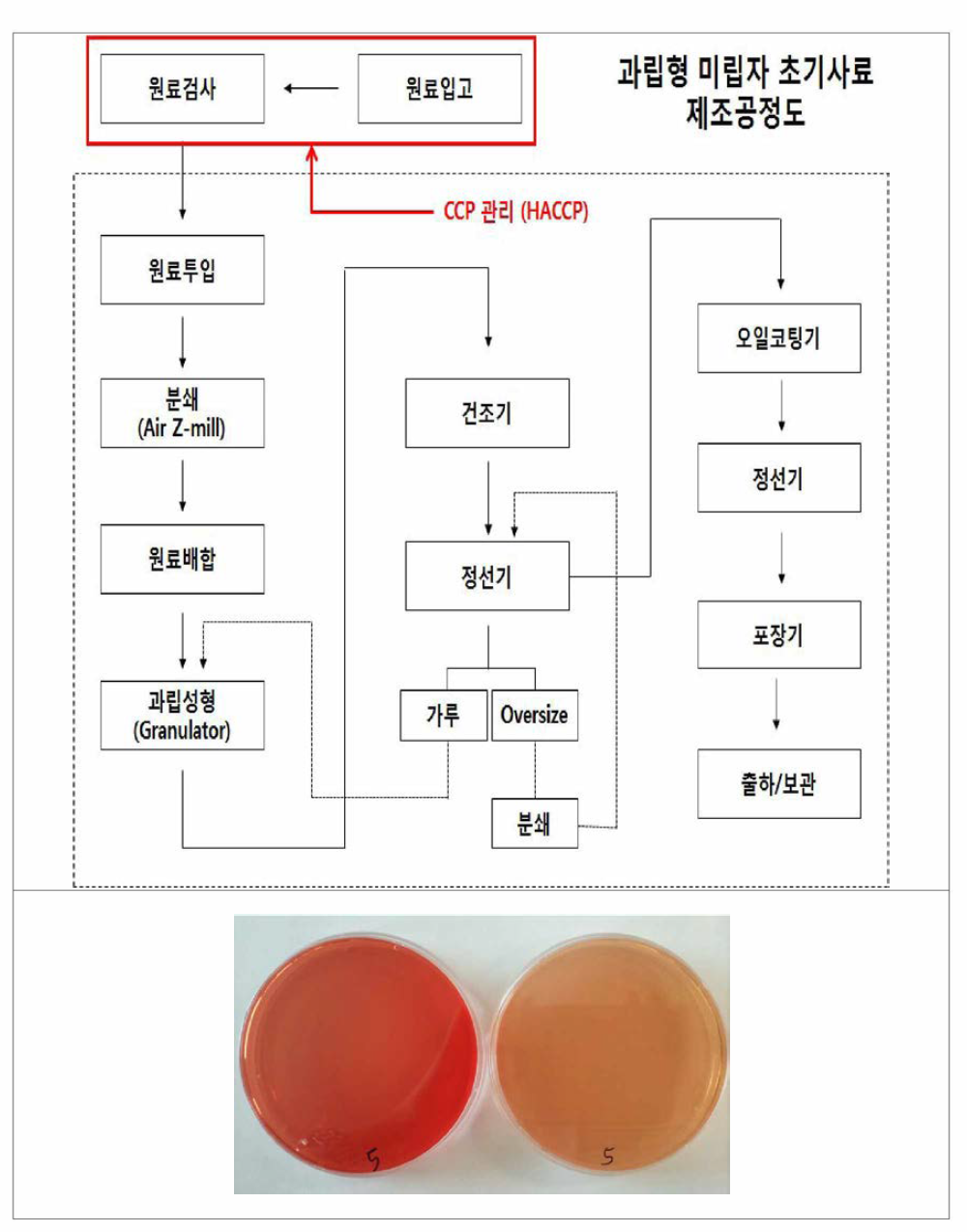 CCP 관리 및 살모넬라 검사