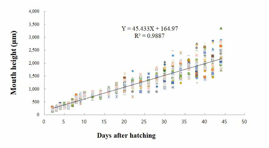 넙치의 부화 후 일령별 입구경의 변화