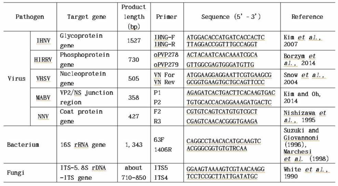 Detailed information on the primes used for RT-PCR and PCR