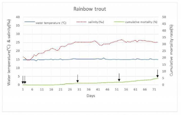 Cumulative mortality of rainbow trout (lot C ) and changes in salinity and water temperature