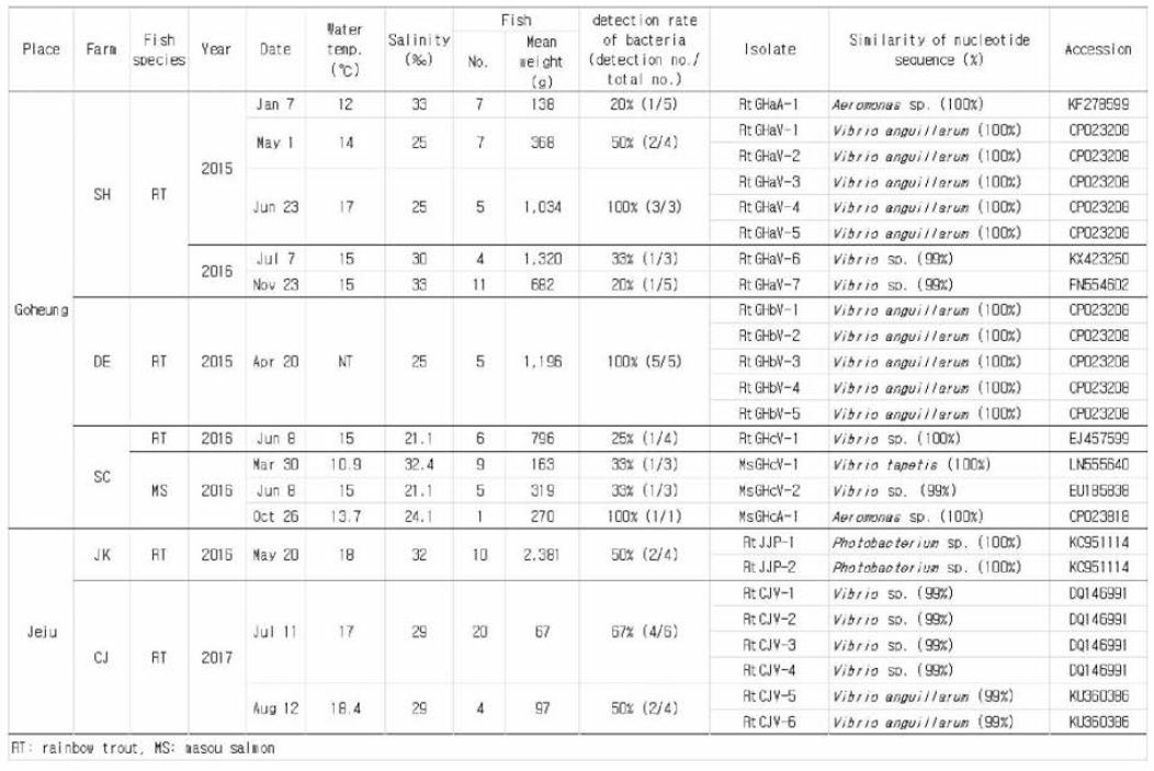 Identification of bacteria from seawater-reared rainbow trout and masou salmon