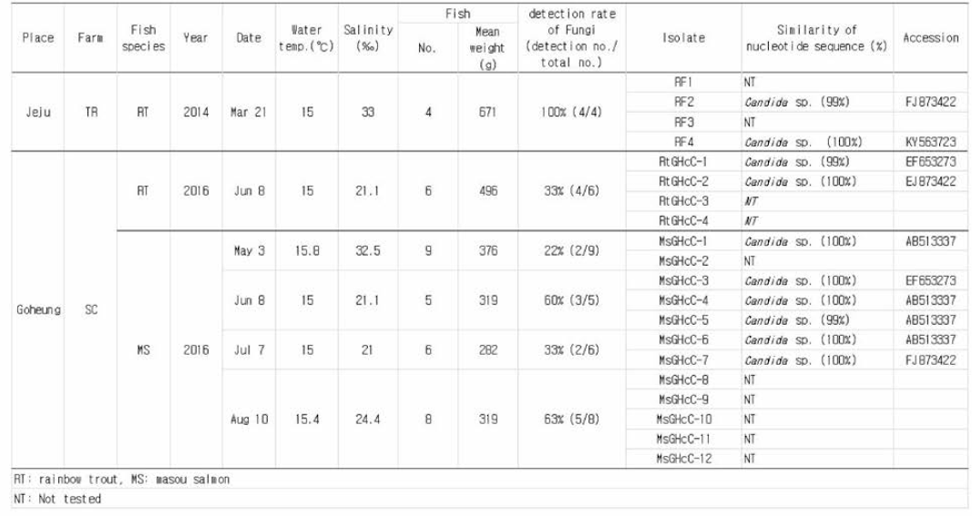 Identification of fungi from seawater-reared rainbow trout and masou salmon