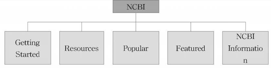 NCBI 시스템 구성도