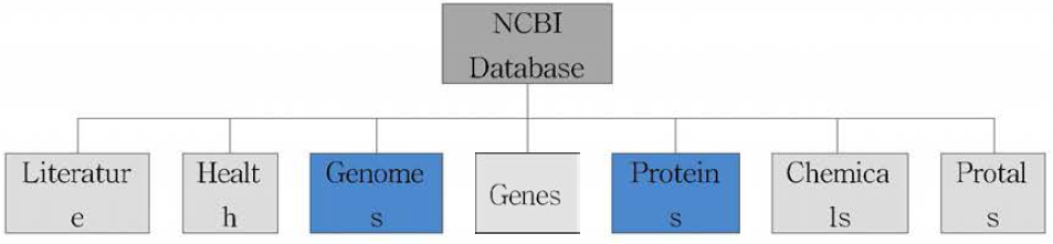 NCBI 데이터베이스 구성도