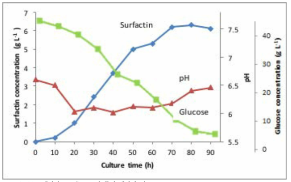 20KL에서의 Bacillus sp.의 물질 생산량 비교