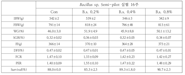 Bacillus sp. 배합사료의 성장률 및 사료효율 분석