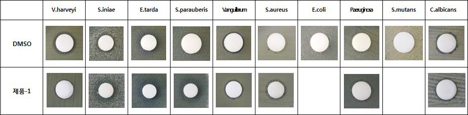 아쿠아프로비온 제품의 항균활성 분석