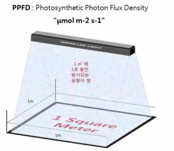 광합성 광량자속밀도 (PPFD).
