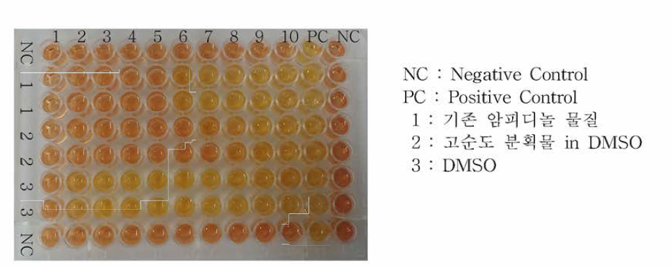MIC 활성측정 96well plate-Mycoplasma hyorhinis