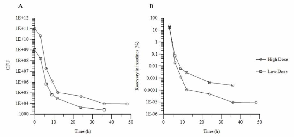 Kinetics of Lactobacillus plantarum PSCPL13 transit in intestines of flounder following oral administration at low (109 CFU ) and high (1011 CFU ) doses .