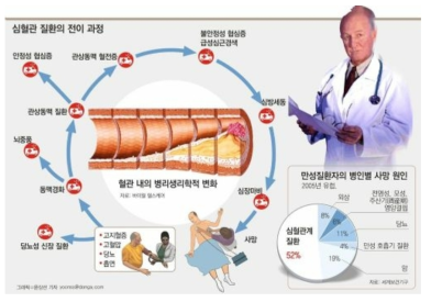 만성질환자의 병인별 사망원인